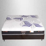 Crown Healthy Orthopedic Mattress